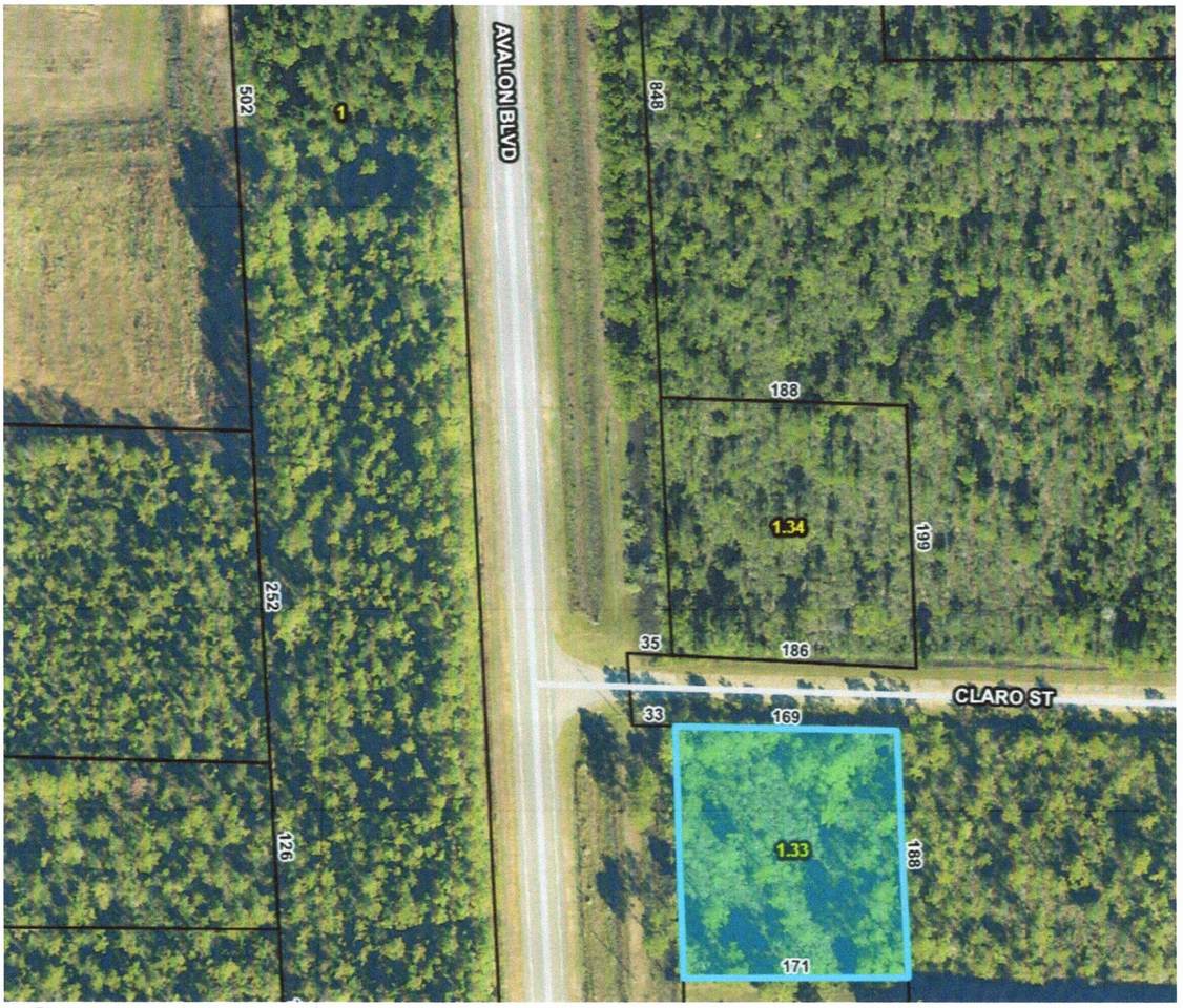 xx133 Avalon Boulevard - Photo 1