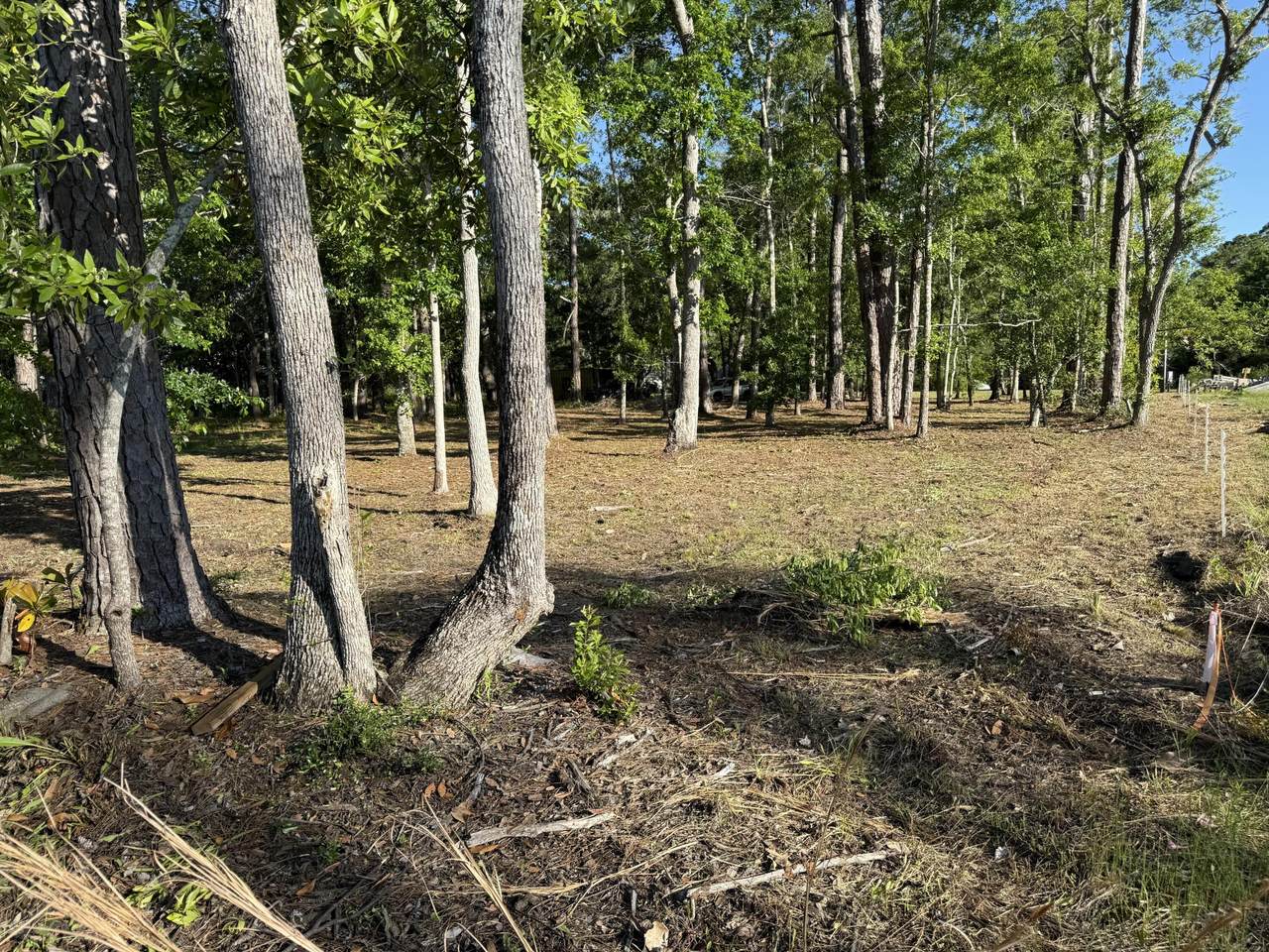 https://bt-photos.global.ssl.fastly.net/navarre/1280_boomver_1_975572-2.jpg