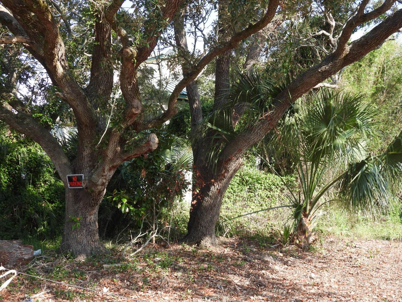https://bt-photos.global.ssl.fastly.net/navarre/1280_boomver_1_982344-2.jpg