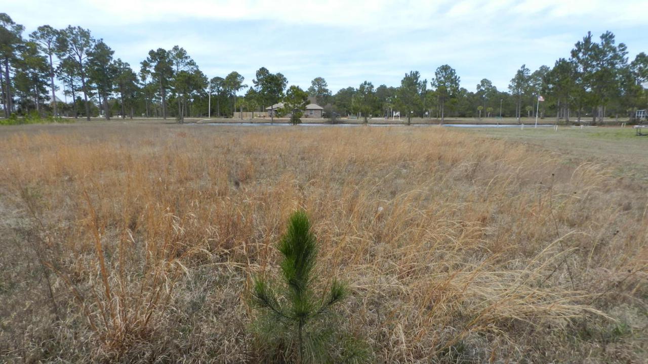 00 Al's Way - Photo 1
