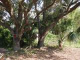 3150 Linden Avenue - Photo 4