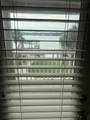 911 Lighthouse Road - Photo 22