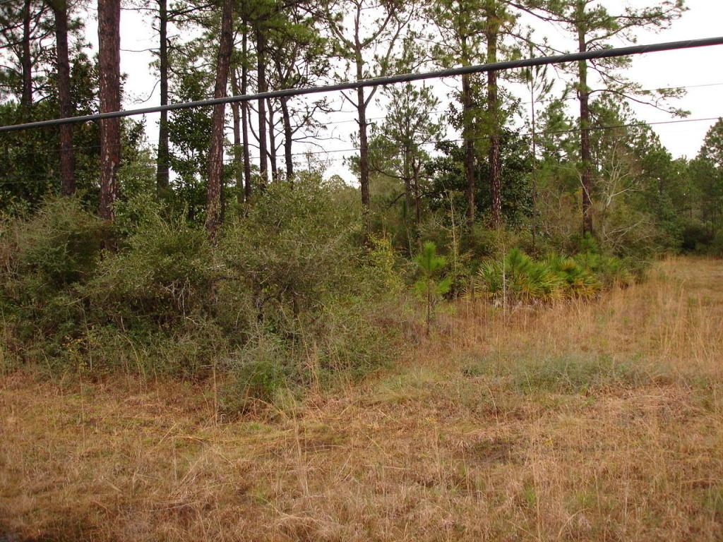 7654 Leisure Street - Photo 1
