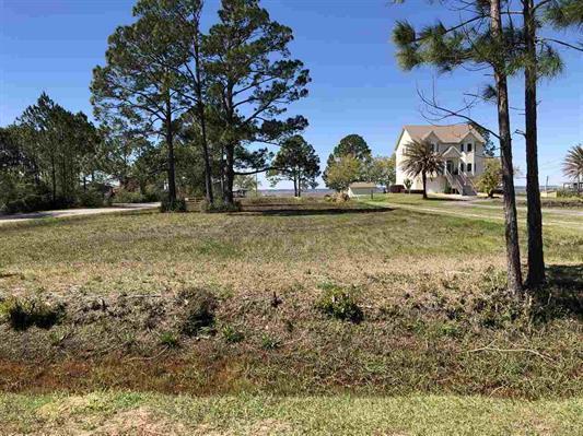 1001 Pearson Road - Photo 1