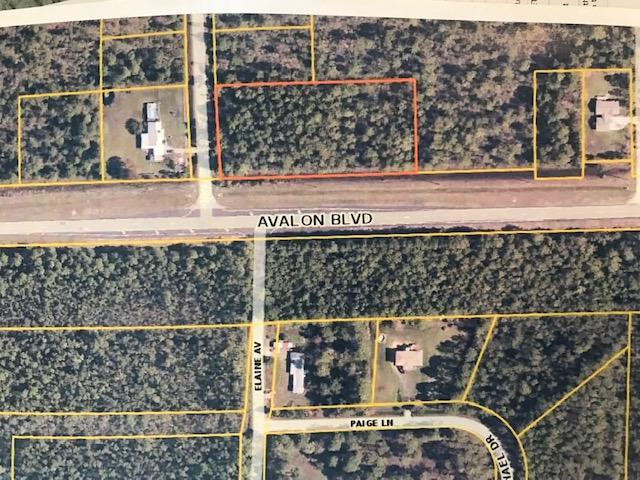 0000 Avalon Boulevard - Photo 1
