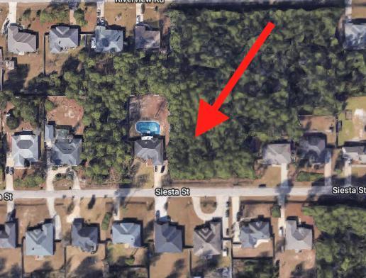 7296 Siesta Rd - Photo 1