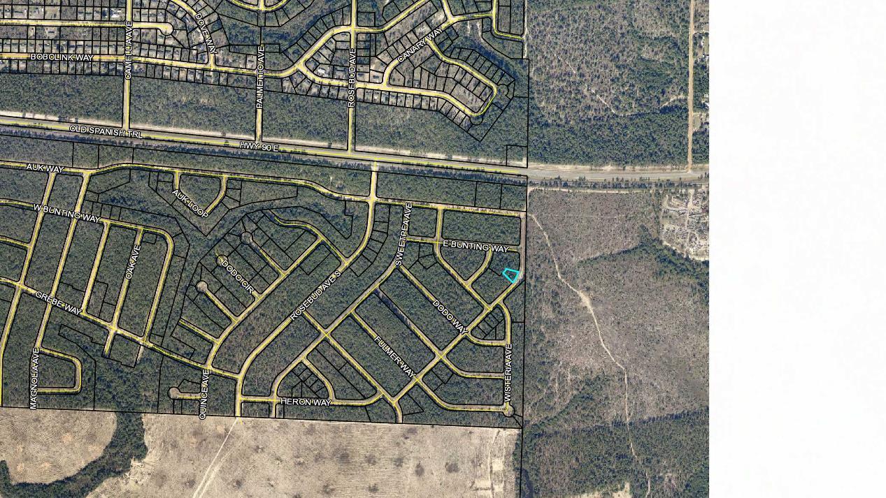 0000 Tulip Avenue - Photo 1