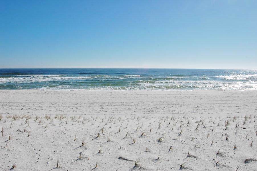 7339 Gulf Boulevard - Photo 1 7339 Gulf Boulevard - Photo 1