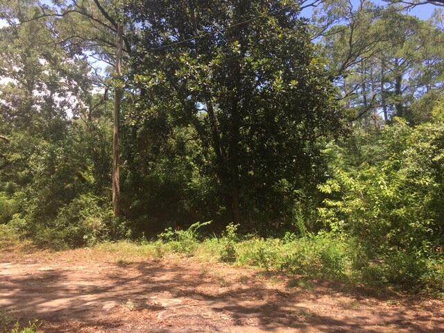 001 Big Oak Loop - Photo 1