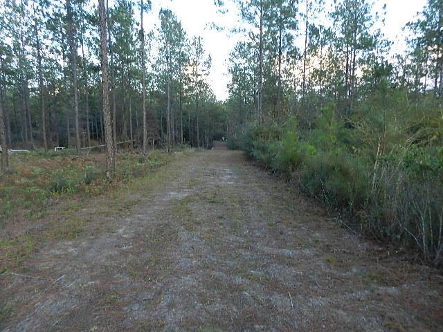 Lot 137 10 Mile Rd - Photo 1