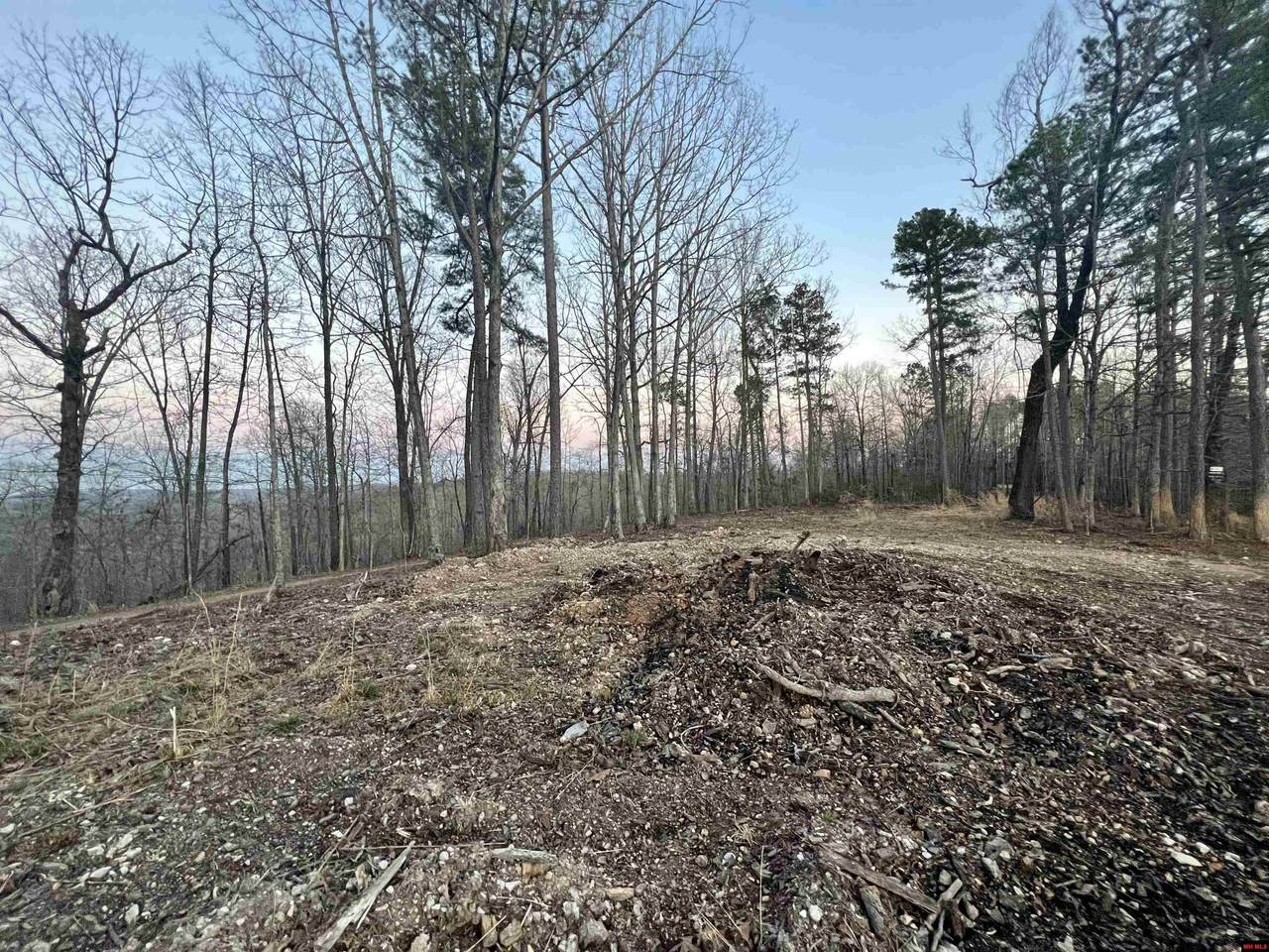 Tract 2 Ramblewood Trail - Photo 1