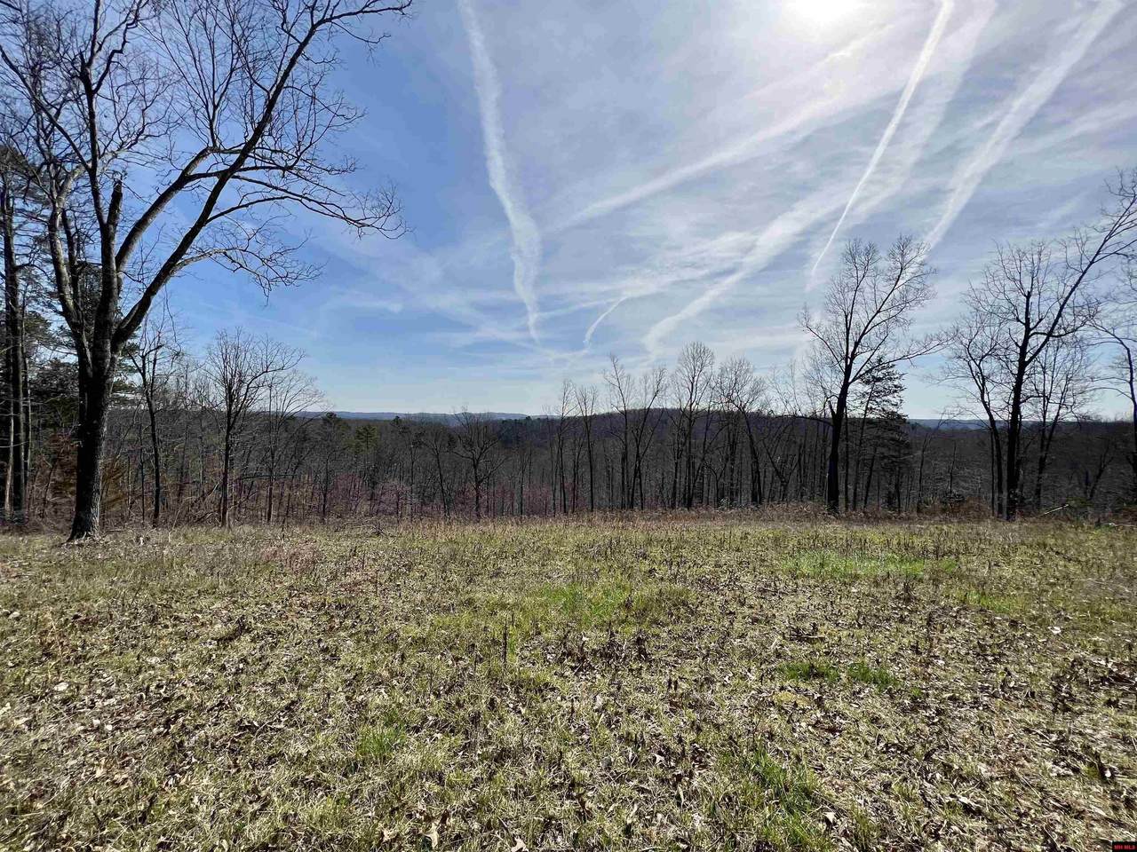Tract 4 Ramblewood Trail - Photo 1
