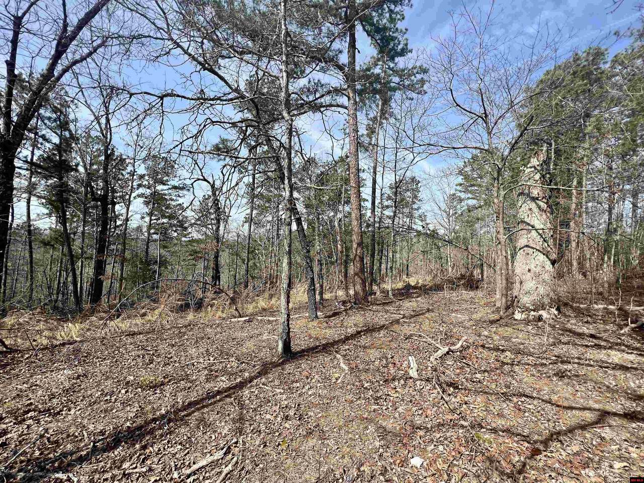Tract 6 Ramblewood Trail - Photo 1