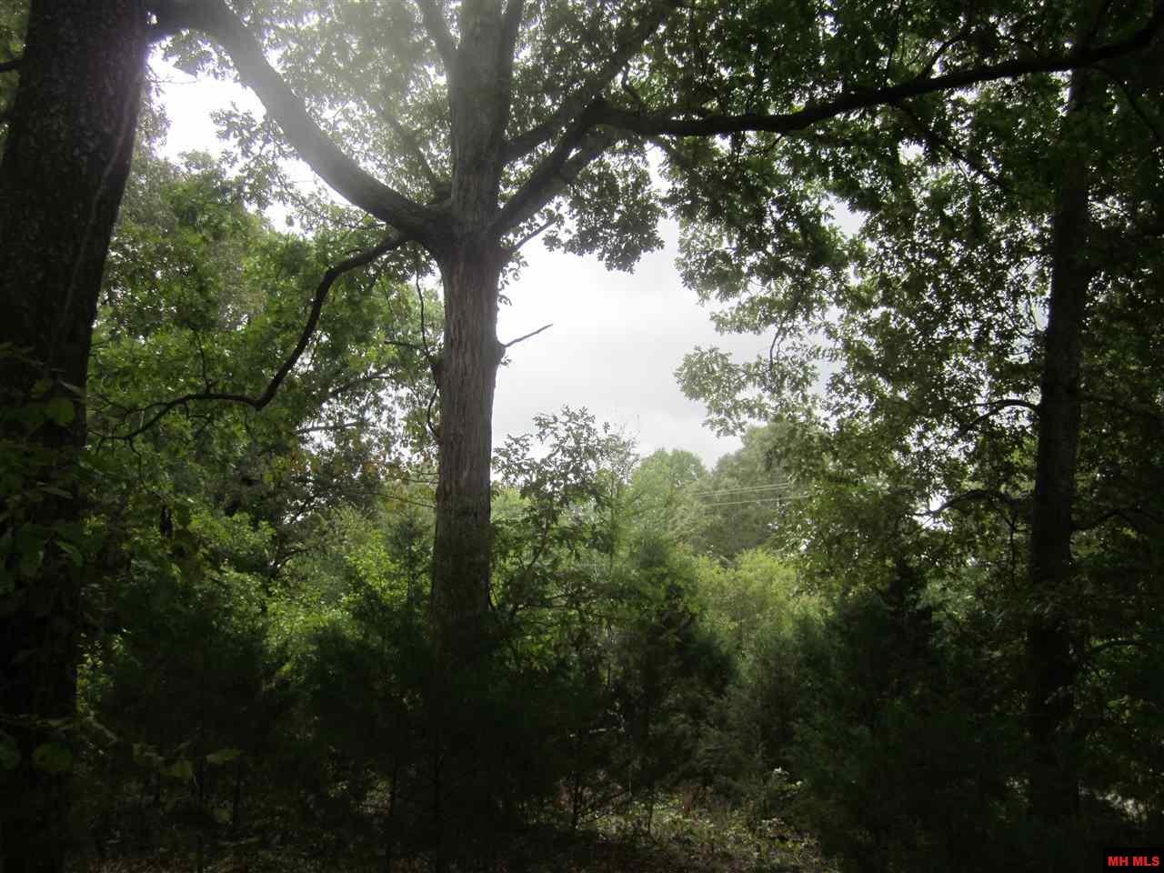 00 Mc 7001 - Photo 1