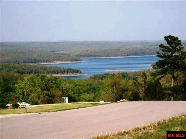 Lot 44 Swiss Alps Lane - Photo 1