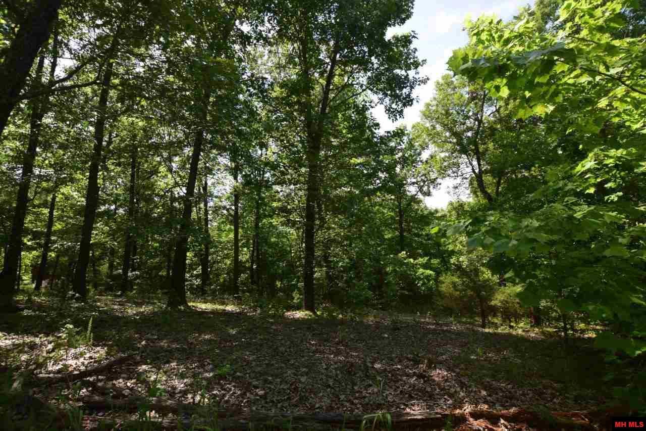 00 Oakley Road - Photo 1