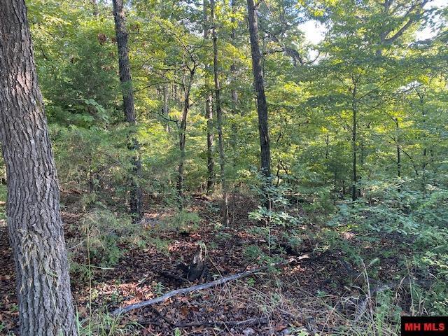 00 Brushy Knob Trail - Photo 1