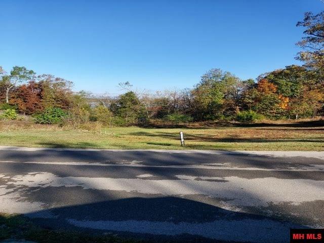 00 Ferncliff Point - Photo 1