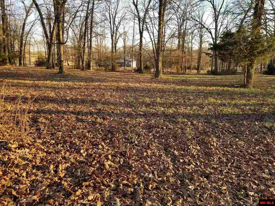 Lot 84 Magness Drive - Photo 1