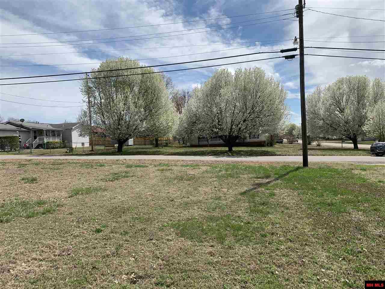 210 Cornell Street - Photo 1