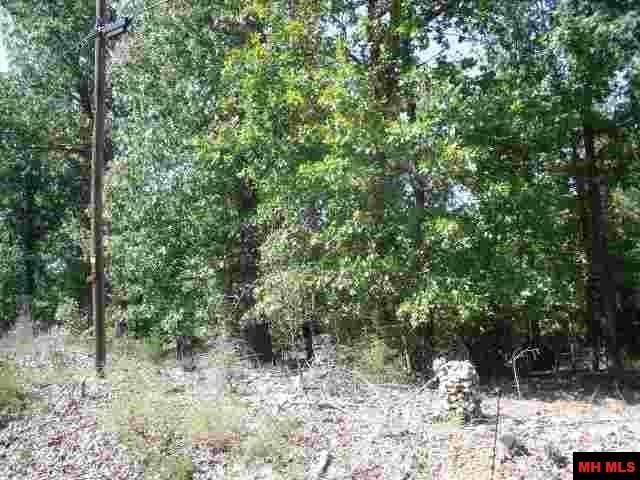 0 Promise Land Road - Photo 1