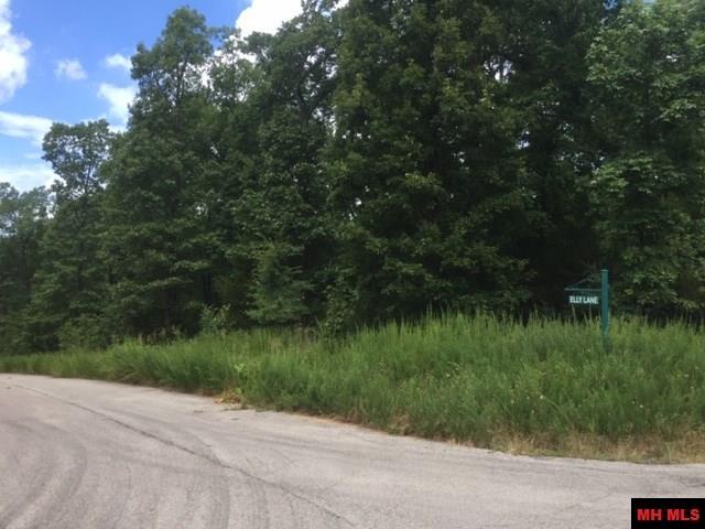 Lot 30 Jeb Road - Photo 1