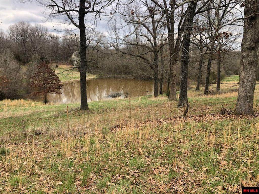 210 Dodd Creek Road - Photo 1