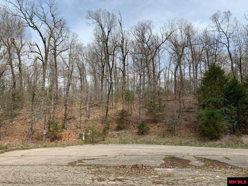 Lot 7,8 Oak Glen Lane - Photo 1