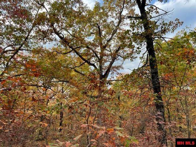 500 Sycamore Springs Road - Photo 1