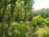 2100 Buckhorn Creek Drive - Photo 13
