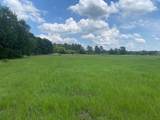 2100 Buckhorn Creek Drive - Photo 7