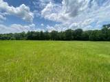 2100 Buckhorn Creek Drive - Photo 8