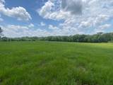 2100 Buckhorn Creek Drive - Photo 9