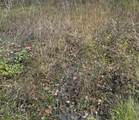TBD Casey Road - Photo 2