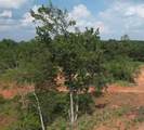 570 Oak Springs Rd - Photo 5