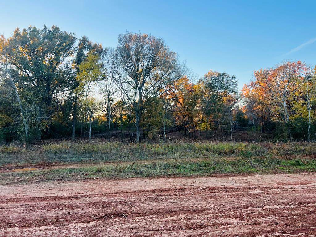 477 Oak Springs Rd, Nacogdoches, TX 75965 (MLS 22201206) Loblolly