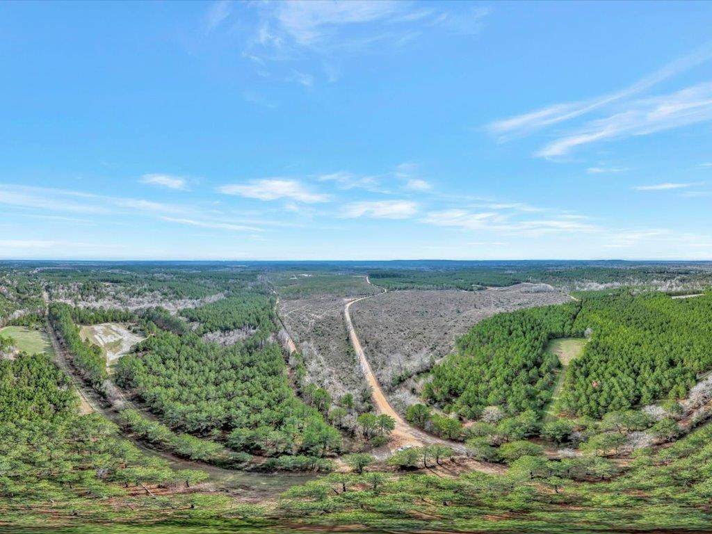 9133 County Road 817, Nacogdoches, TX 74964 (MLS 22400060) Loblolly