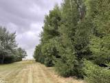 925 100Th Street - Photo 11