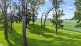 54 Four Winds Drive - Photo 6