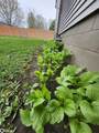 1026 Pleasant Street - Photo 66
