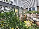 1026 Pleasant Street - Photo 71