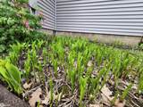 1026 Pleasant Street - Photo 73