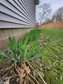 1026 Pleasant Street - Photo 74