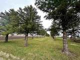 1145 Birch Avenue - Photo 48