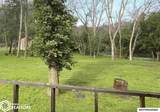 907 Woodland Drive - Photo 29