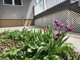 1026 Pleasant Street - Photo 48