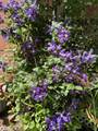 209 9th Street - Photo 23