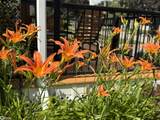 209 9th Street - Photo 24
