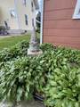 209 9th Street - Photo 26