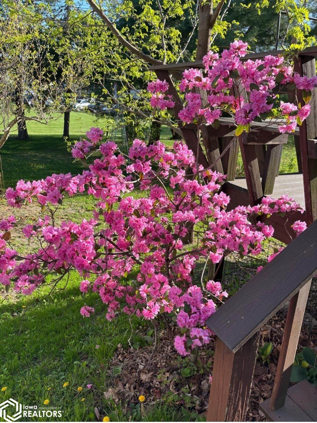 https://bt-photos.global.ssl.fastly.net/ncimls/1280_boomver_1_6338882-1.jpg